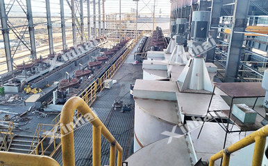 新型含銅鉬礦選礦工藝有哪些?